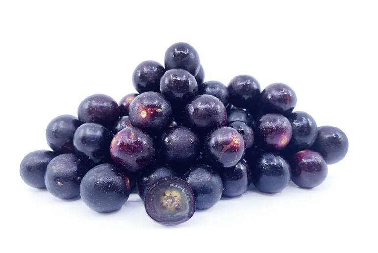 Muscadine Grape
