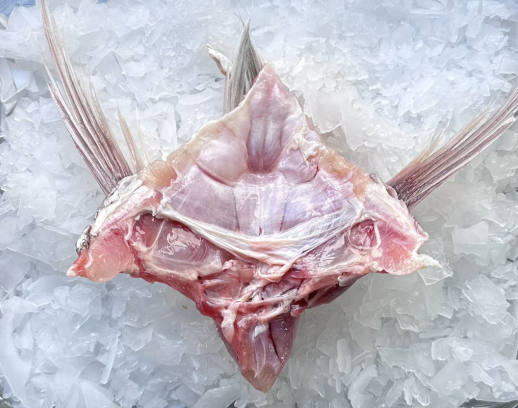 fish
